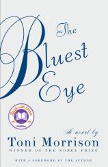 the bluest eye essay questions